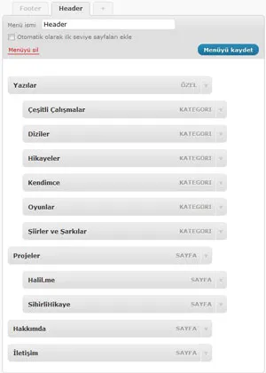 WordPress 3 menü yönetim ekranı
